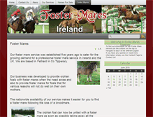 Tablet Screenshot of fostermares.ie